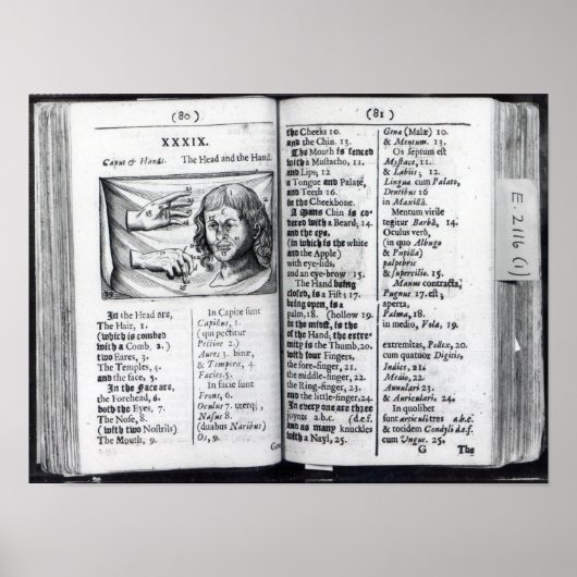 'Orbis Sensualium Pictus' Poster (Vorne)