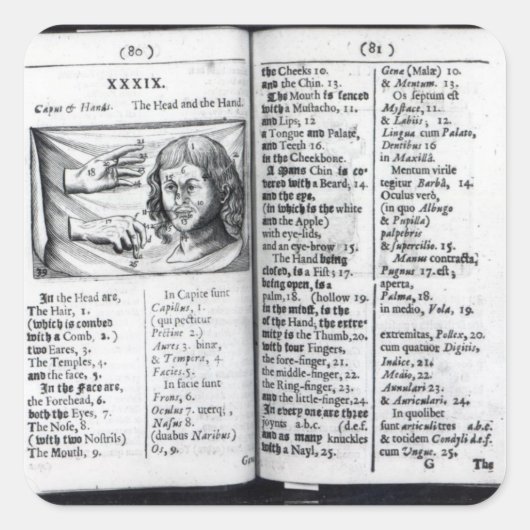 'Orbis Sensualium Pictus' Quadratischer Aufkleber (Vorderseite)