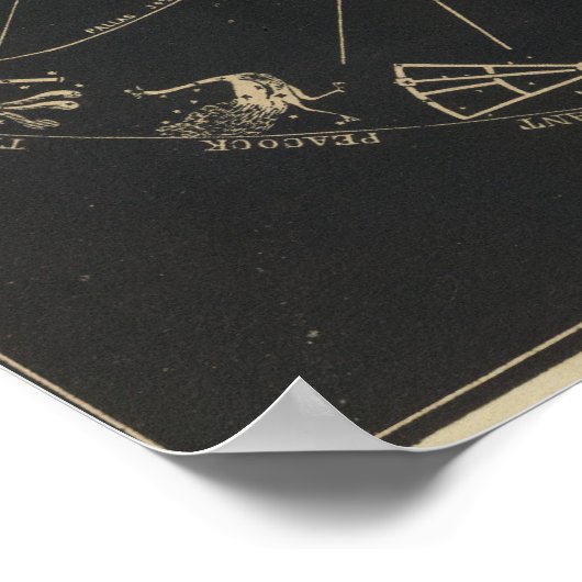 Orbits der Planeten Poster (Ecke)