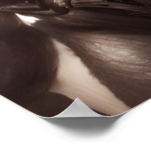 Orc Brute Poster (Ecke)