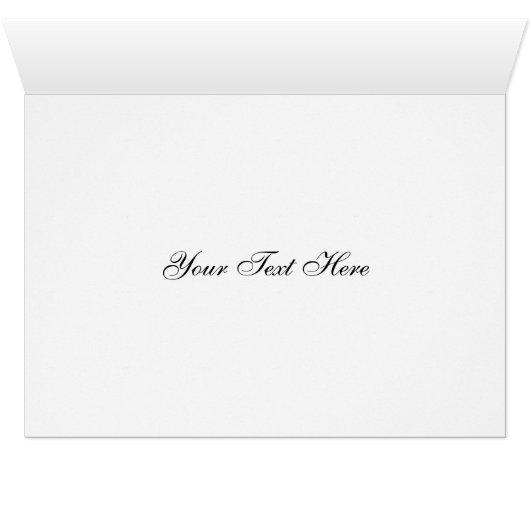 Orca (Innenansicht Horizontal (Unten))