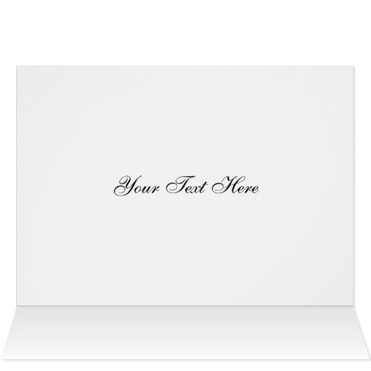 Orca (Innenansicht Horizontal (Oben))