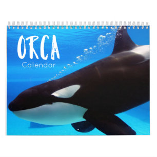 Orca 2023 Kalender lustige und niedliche Orcas