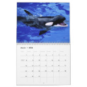 Orca 2023 Kalender lustige und niedliche Orcas (Mär 2026)