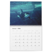 Orca 2023 Kalender lustige und niedliche Orcas (Jan 2026)