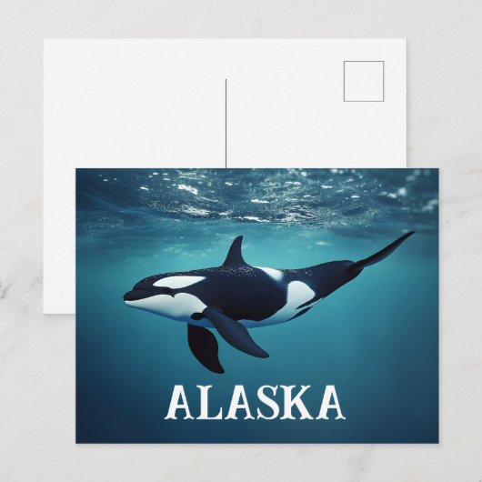 Orca Alaska Postkarte (Vorne/Hinten)