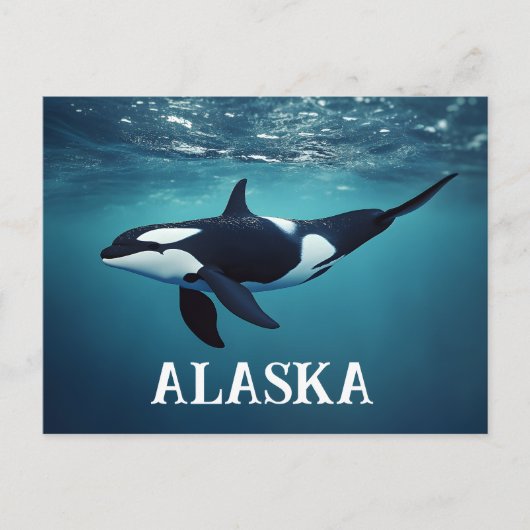 Orca Alaska Postkarte (Vorderseite)