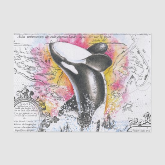 Orca Ancient Rainbow Map Seidenpapier (Vorderseite)