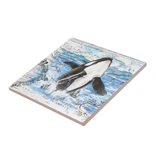 Orca - Antike Karte Fliese (Seite)
