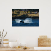 Orca Auf den Inseln San Juan Poster (Küche)