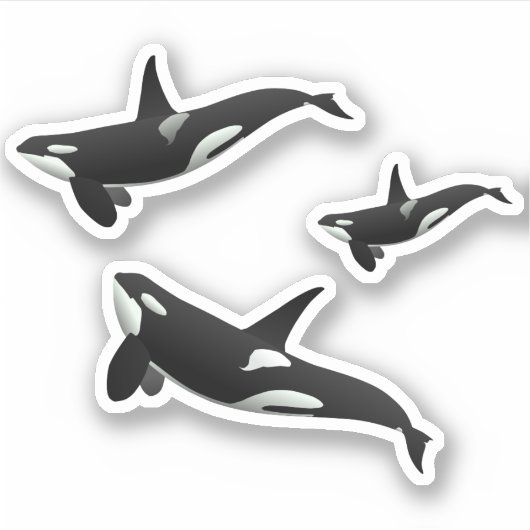 Orca Aufkleber (Vorderseite)