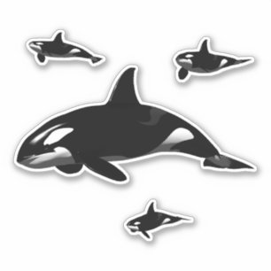 Orca Aufkleber