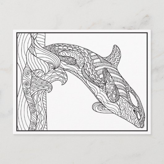 Orca Black and White Postcard Postkarte (Vorderseite)