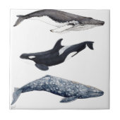 Orca, buckliger Wal und grauer Wal, Fliese (Vorderseite)