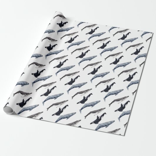 Orca, buckliger Wal und grauer Wal, Geschenkpapier (Ungerollt)