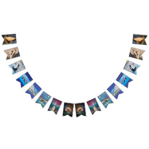 Orca Bunting Banner