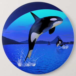 Orca-Button Button