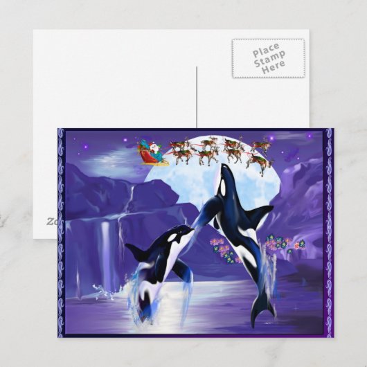 Orca Christmas Postkarte (Vorne/Hinten)