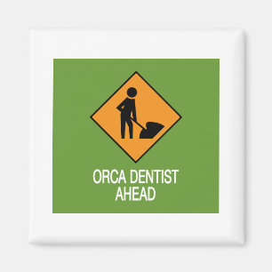 Orca Dentist Ahead Magnet