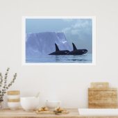 ORCA DRUCKEN POSTER (Küche)