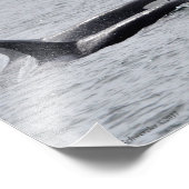 Orca Duo! Fotodruck (Ecke)