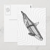 Orca Erwachsene Farbgebung Postkarte (Vorne/Hinten)