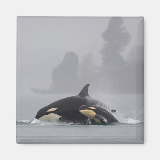 Orca Family Magnet (Vorne)