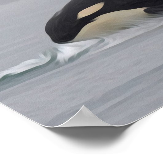 Orca Family Poster (Ecke)