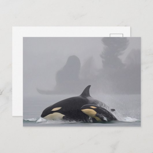Orca Family Postkarte (Vorne/Hinten)