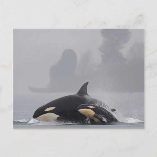 Orca Family Postkarte (Vorderseite)
