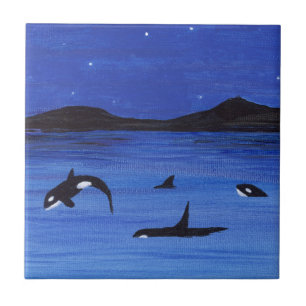 Orca Fliese