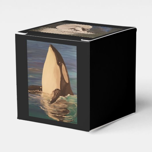 Orca-Gefälligkeitsbox Geschenkschachtel (Vorderseite)