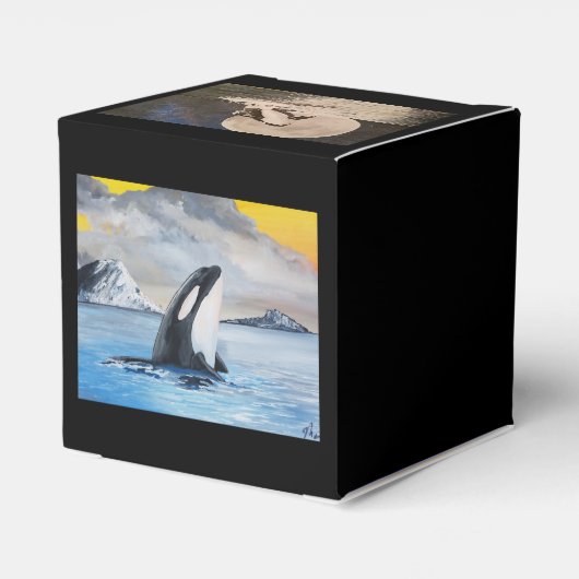 Orca-Gefälligkeitsbox Geschenkschachtel (Rückseite)