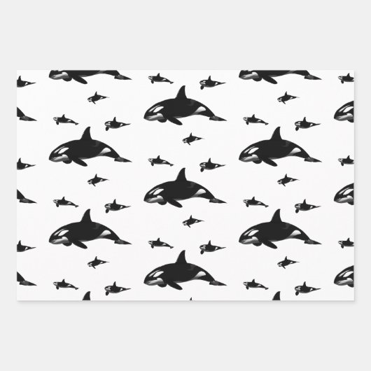 Orca Geschenkpapier Set (Vorderseite 3)