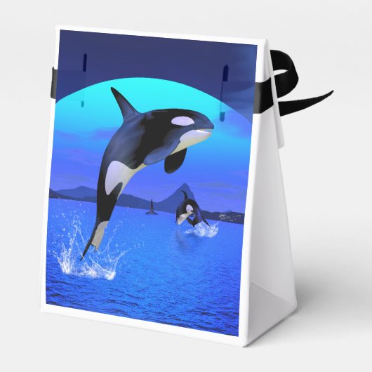 Orca Geschenkschachtel (Rückseite)