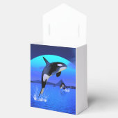 Orca Geschenkschachtel (Geöffnet)