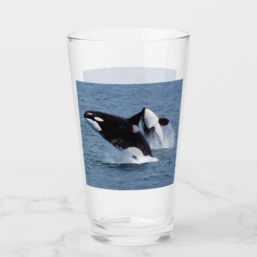 Orca Glas (Vorderseite)