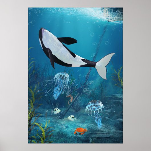 Orca II Poster (Vorne)