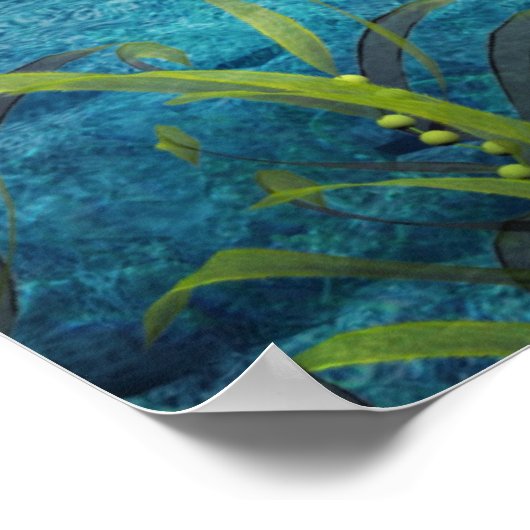 Orca II Poster (Ecke)