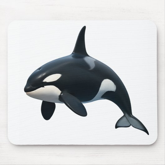 Orca in Motion Mousepad (Vorne)