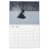 Orca-Kalender 2022 Kalender (Mär 2026)