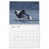 Orca-Kalender 2022 Kalender (Feb 2026)