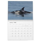 Orca-Kalender 2022 Kalender (Jan 2026)