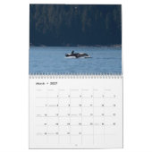 Orca-Kalender 2022 Kalender (Mär 2027)