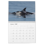Orca-Kalender 2022 Kalender (Jan 2027)