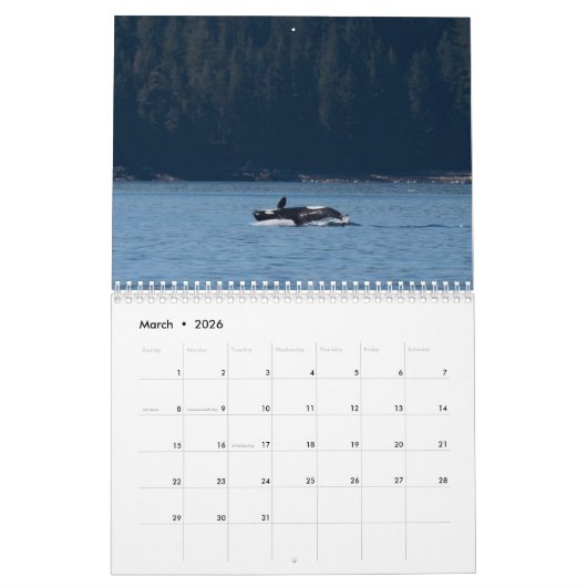 Orca-Kalender 2022 Kalender (Mär 2026)