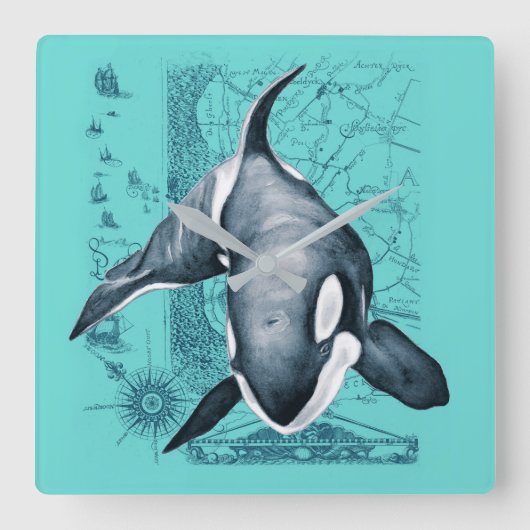 Orca-Karte aquamarin Quadratische Wanduhr (Vorderseite)