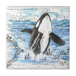 Orca-Karte der alten Zeit Fliese