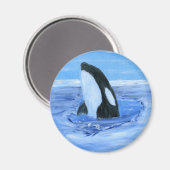Orca Killer Wal Magnet (Vorderseite/Rückseite)
