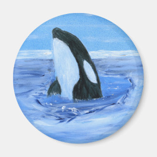 Orca Killer Wal Magnet